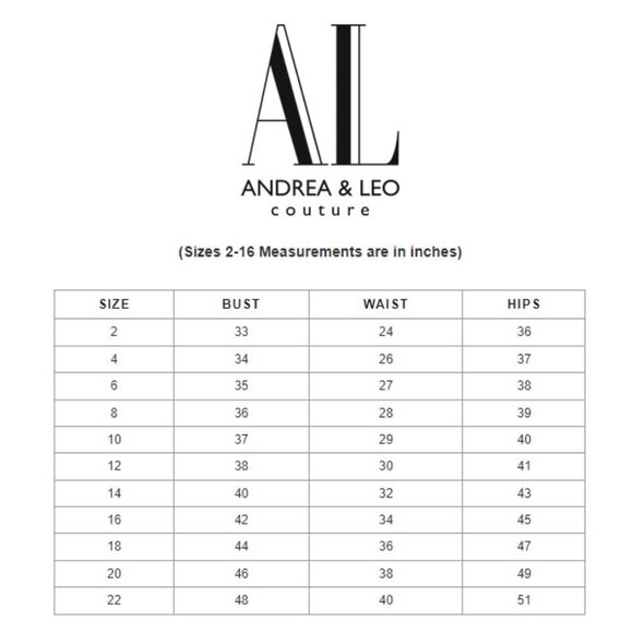 NWT Andrea and Leo A1118 Tulle Prom Dress Platinum in Size 14 - Picture 3 of 6